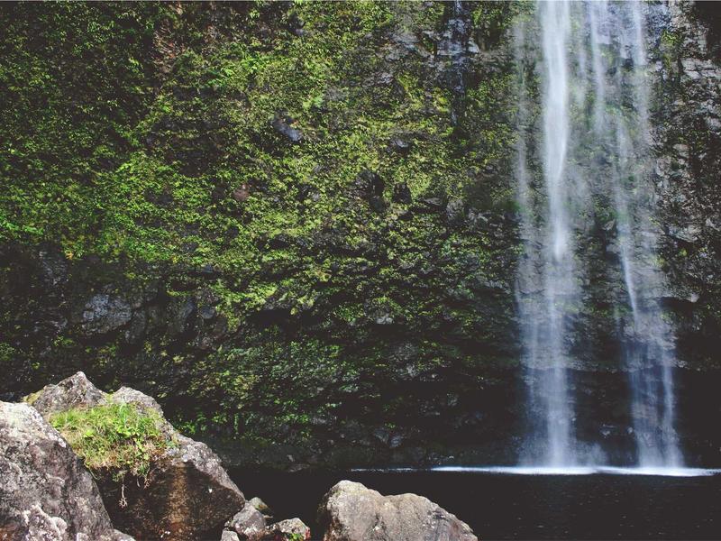 sudoku nature theme screenshot 2